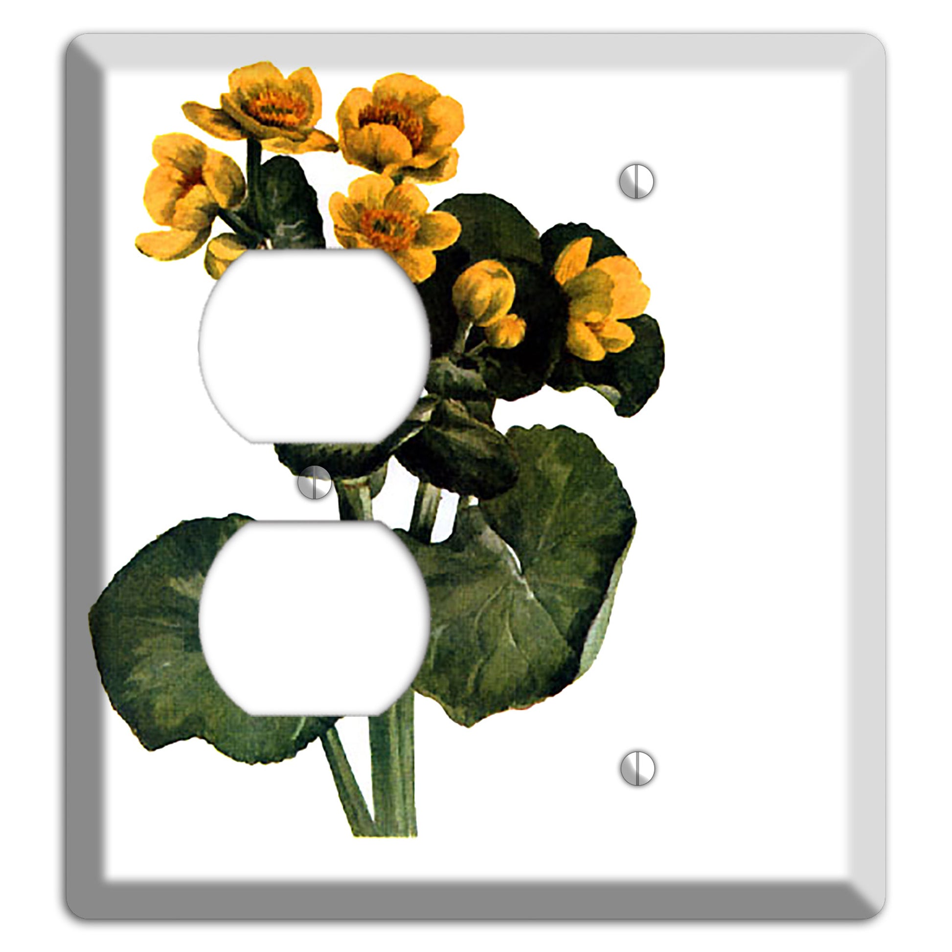 Calla Palustrie 2 Duplex / Blank Wallplate