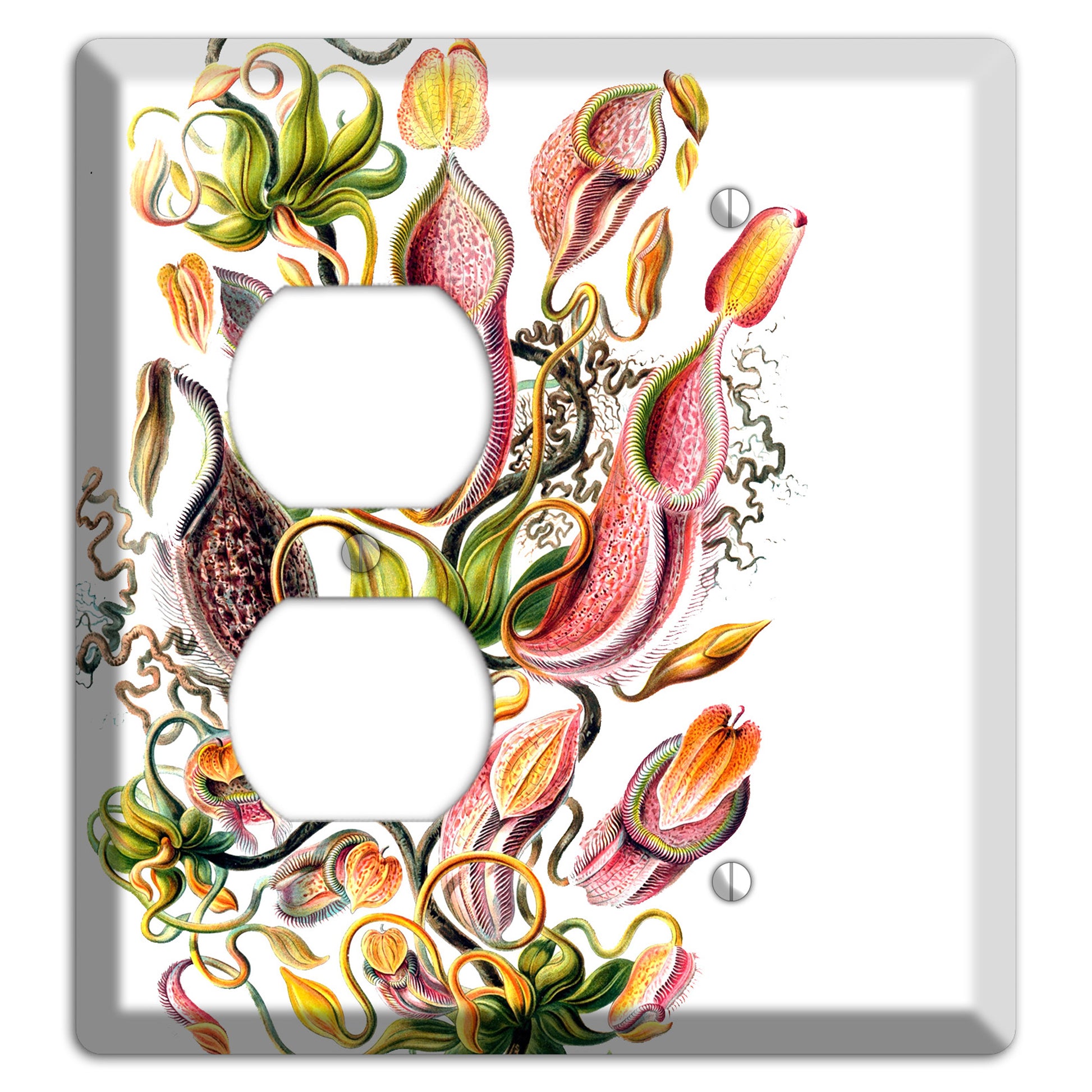 Haechel Duplex / Blank Wallplate