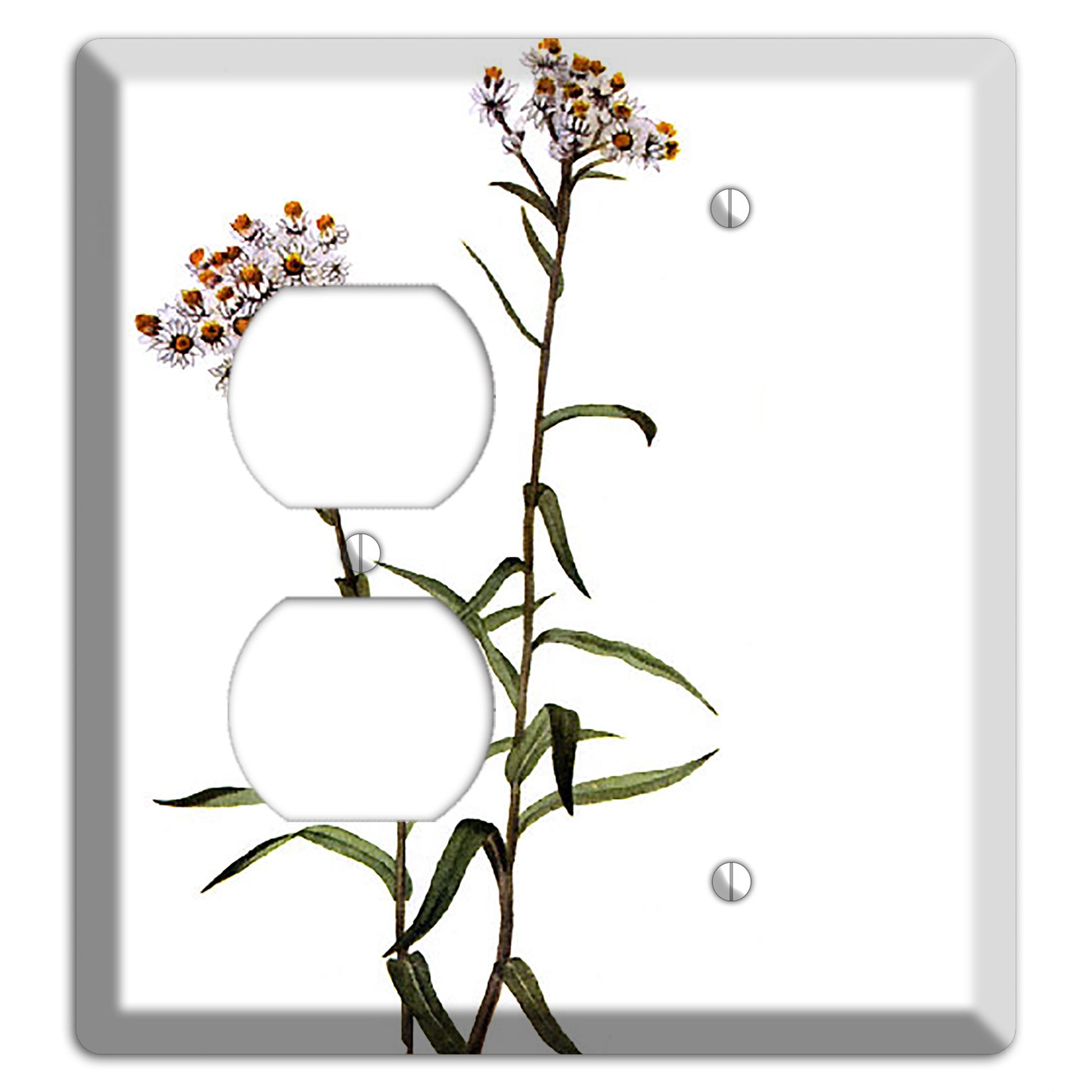 Anaphalis Margoritacea Duplex / Blank Wallplate