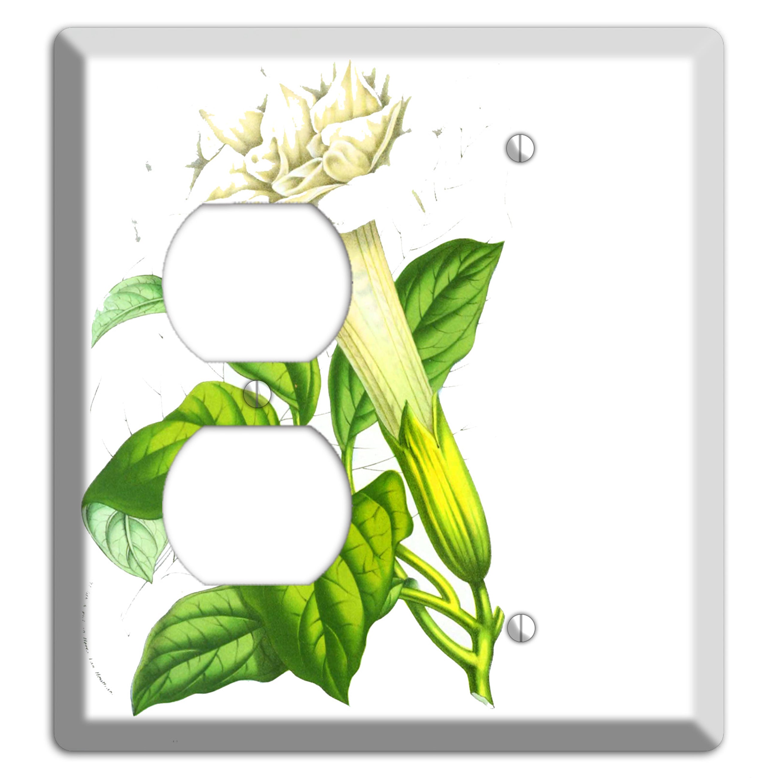 Datura Fastuosa Duplex / Blank Wallplate