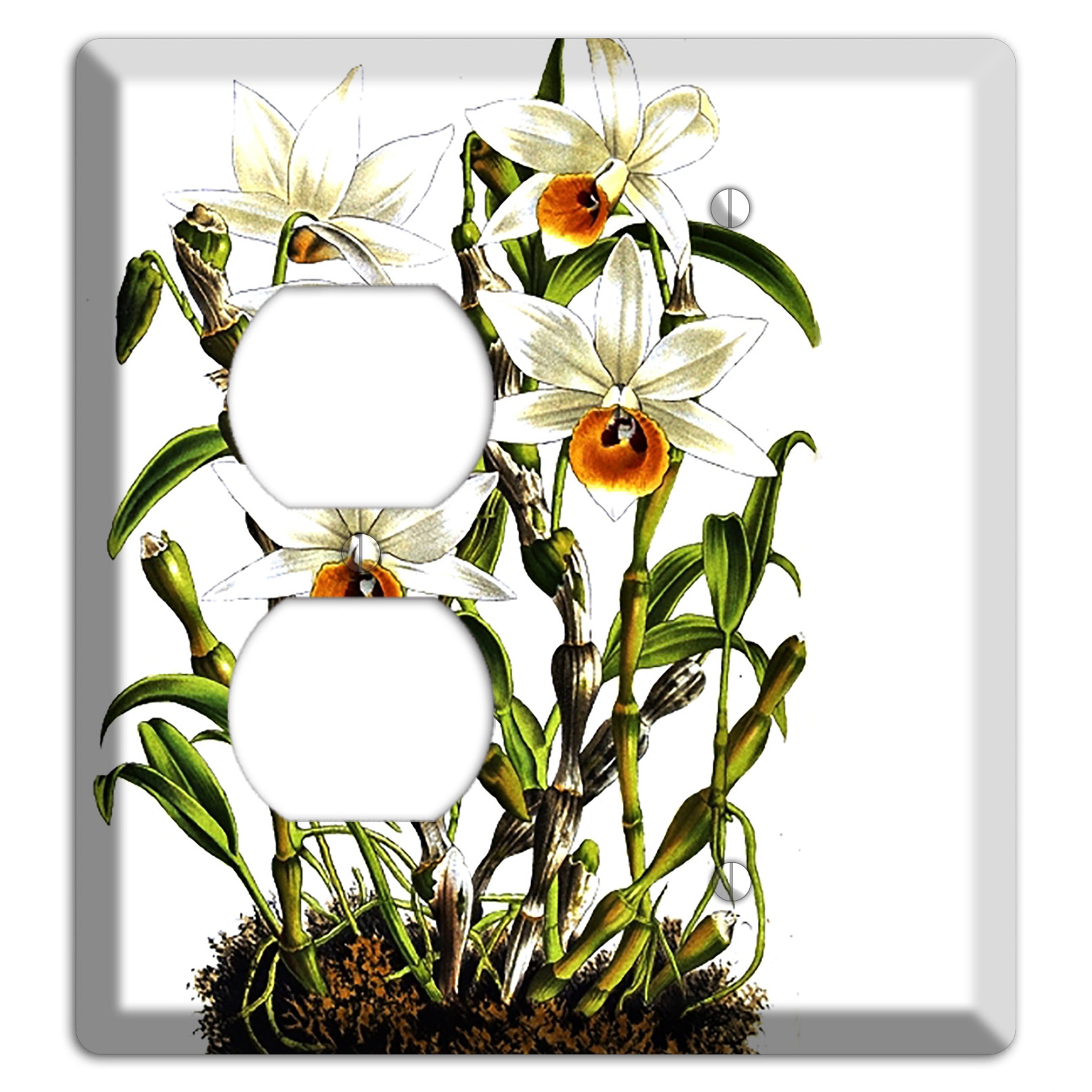 Dendrobium Duplex / Blank Wallplate