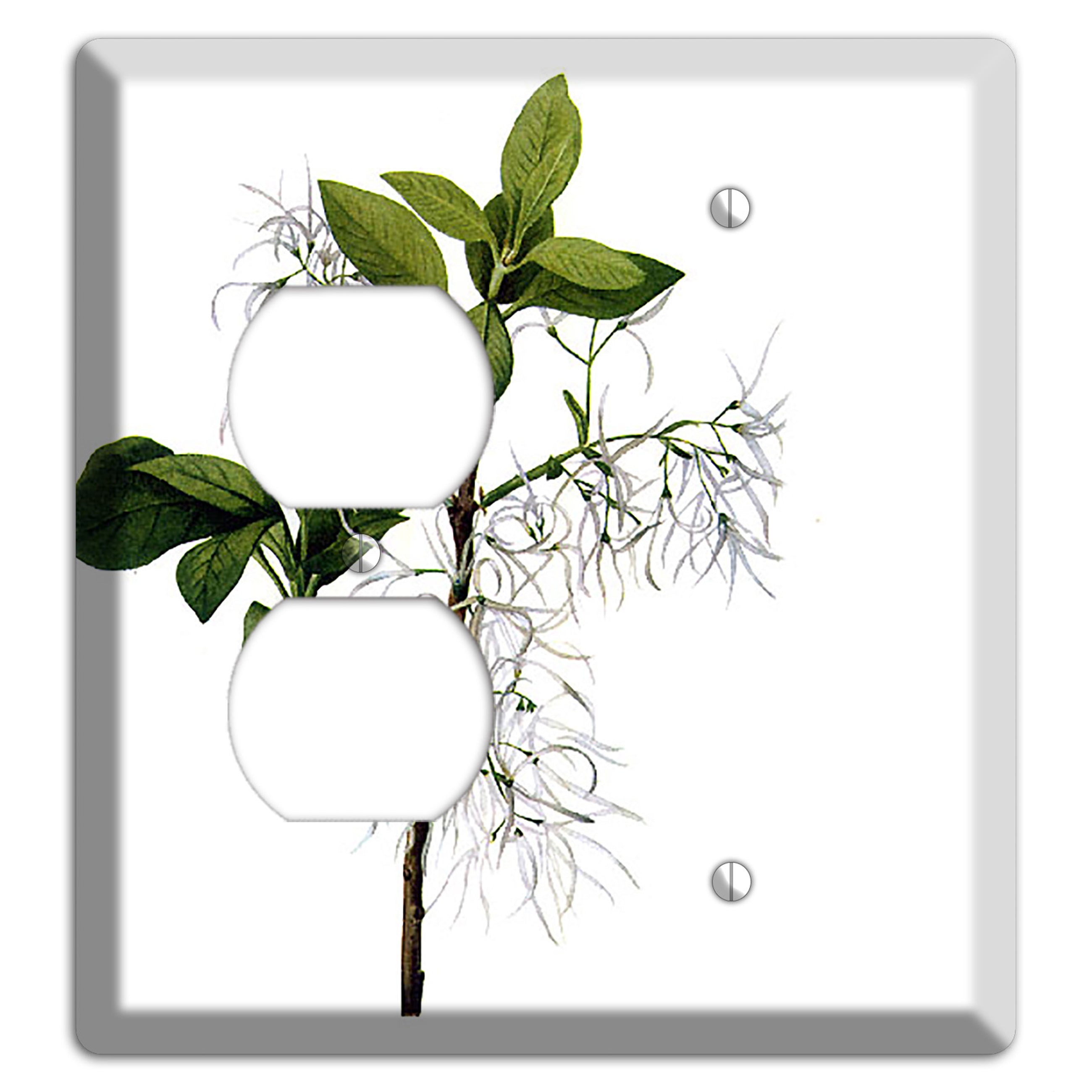 Chionathus Virginiana Duplex / Blank Wallplate