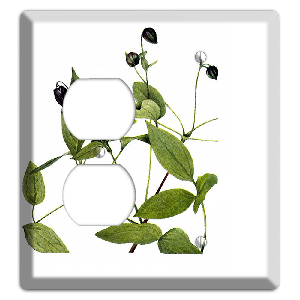Clematis Viorna Duplex / Blank Wallplate