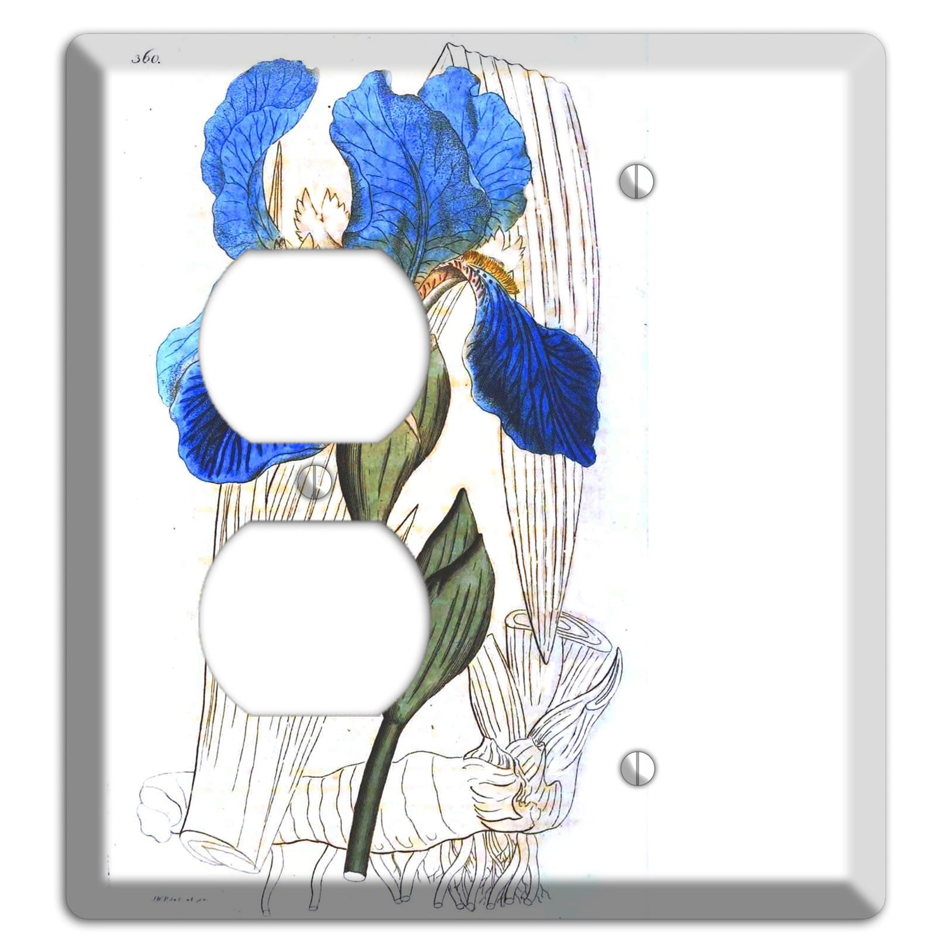 Blue Iris Duplex / Blank Wallplate