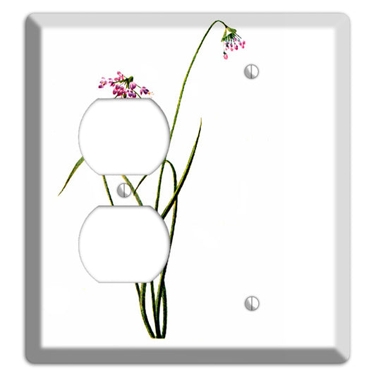 Allium Cernum Duplex / Blank Wallplate