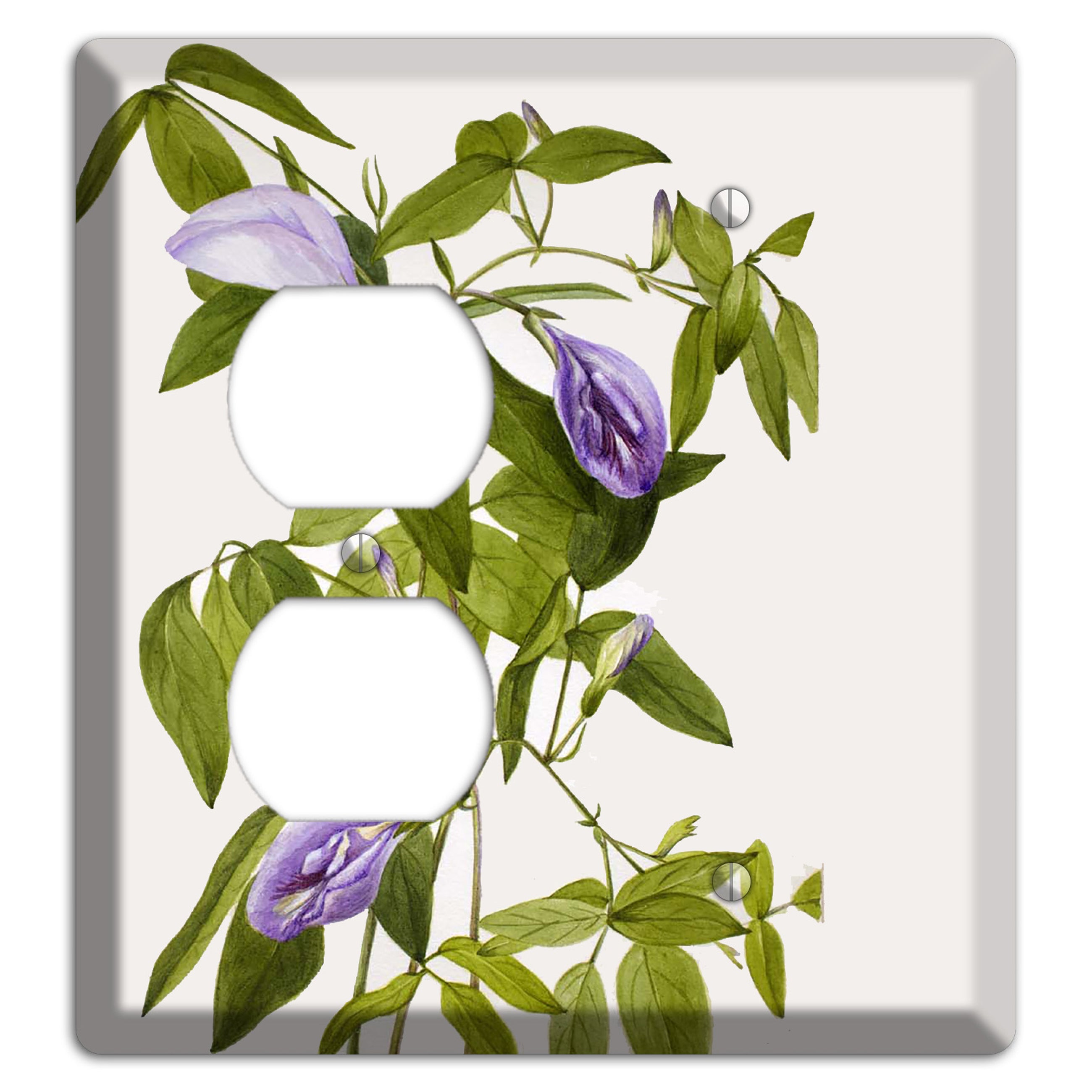 Clitoria Mariana Duplex / Blank Wallplate