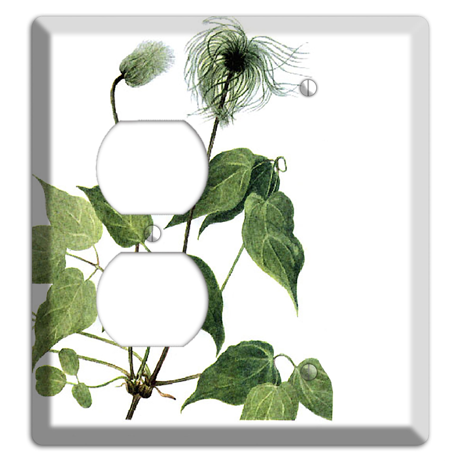 Clamatis Columbiana Duplex / Blank Wallplate