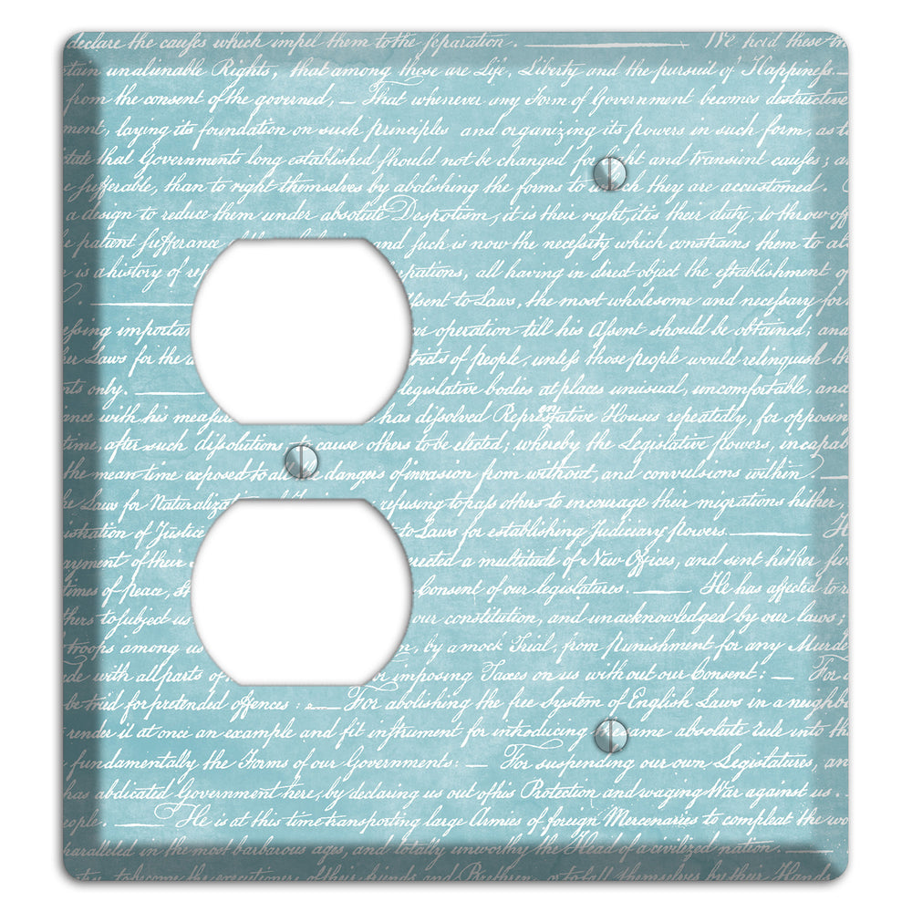 Blue Stained Script Duplex / Blank Wallplate