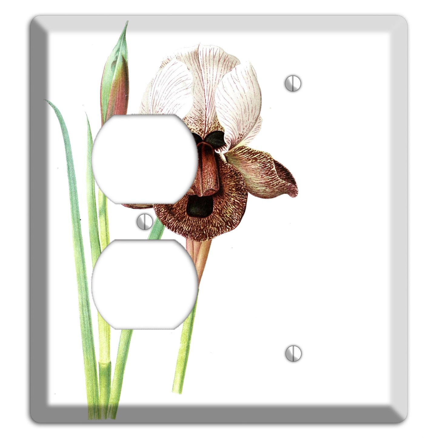 White iris Duplex / Blank Wallplate