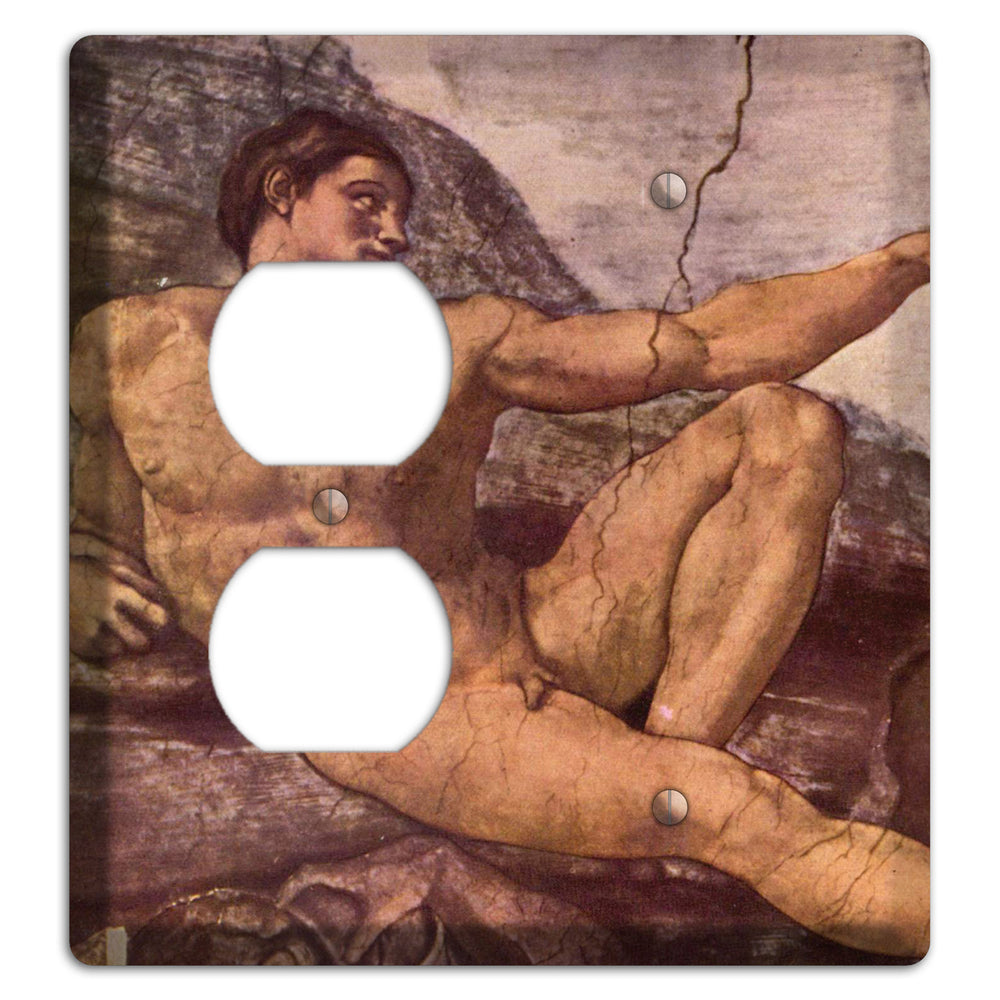Michelangelo 2 Duplex / Blank Wallplate
