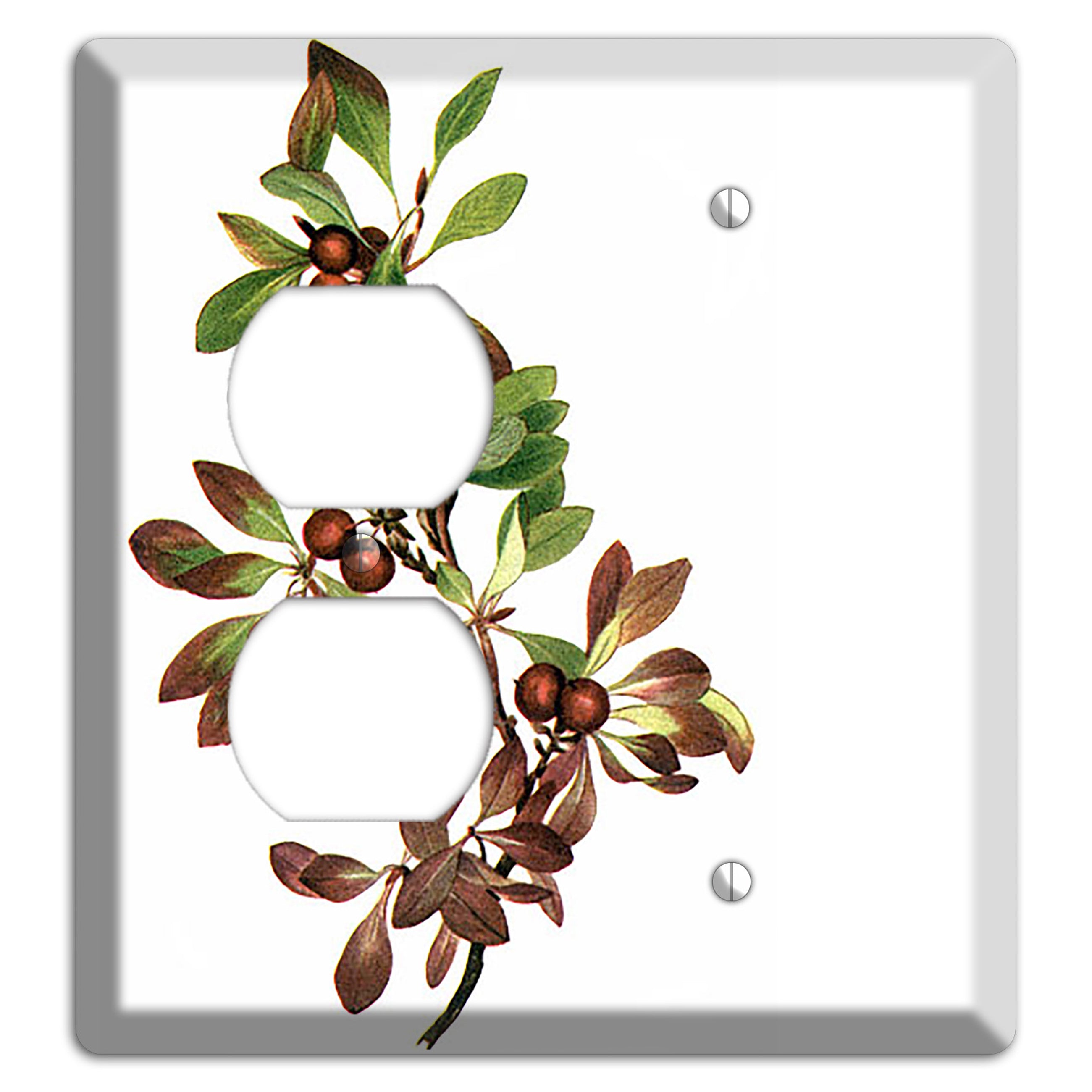 Arietustaphylos Alpha Duplex / Blank Wallplate