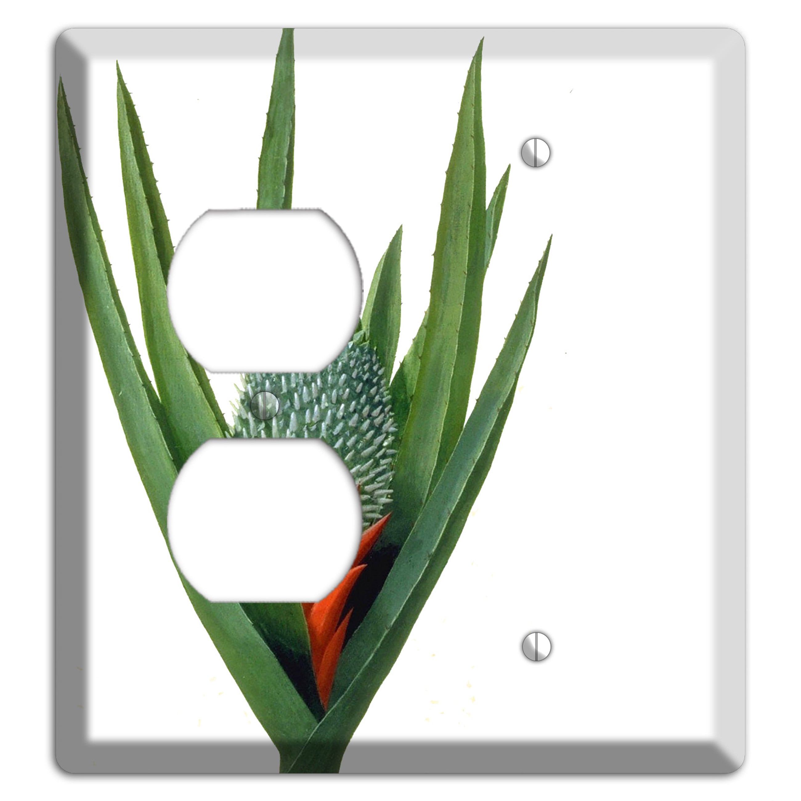 Bromiliad Duplex / Blank Wallplate