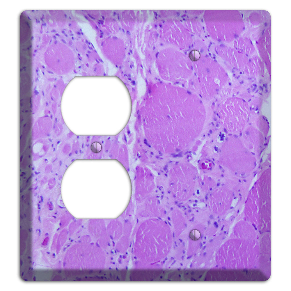 Poliovirus Myotonic Dystrophic Duplex / Blank Wallplate