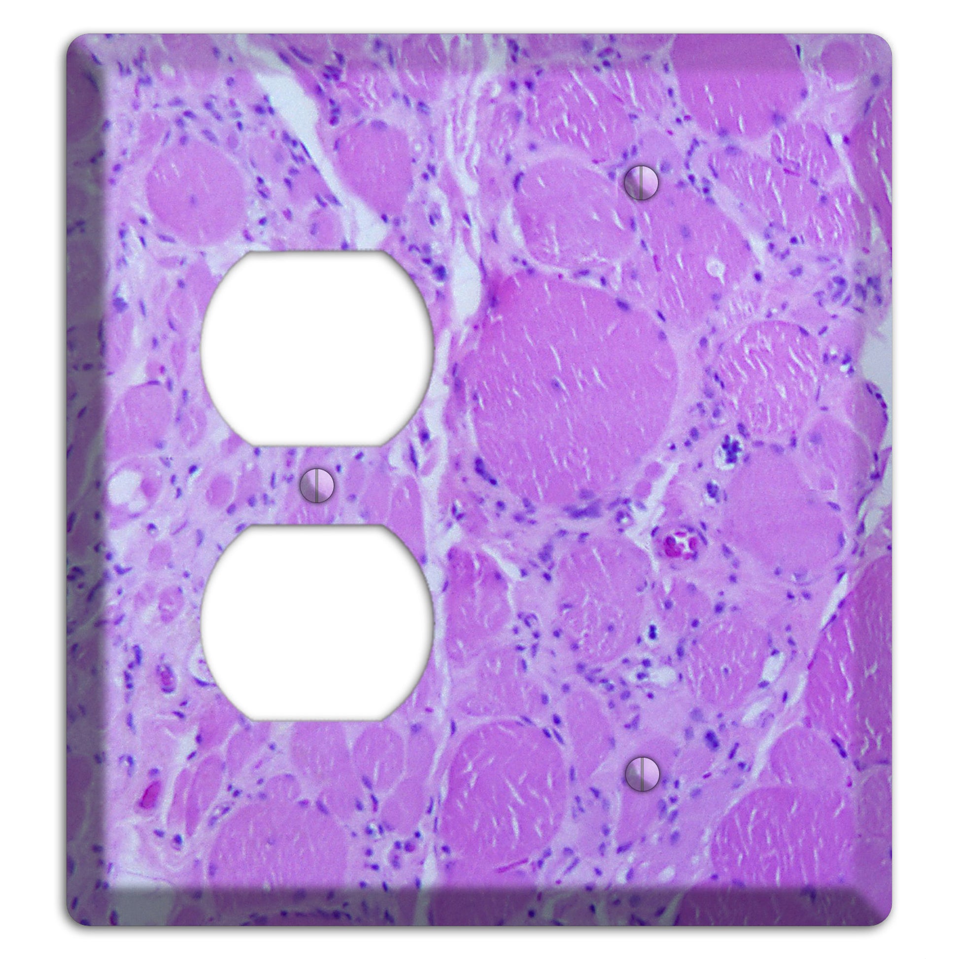 Poliovirus Myotonic Dystrophic Duplex / Blank Wallplate