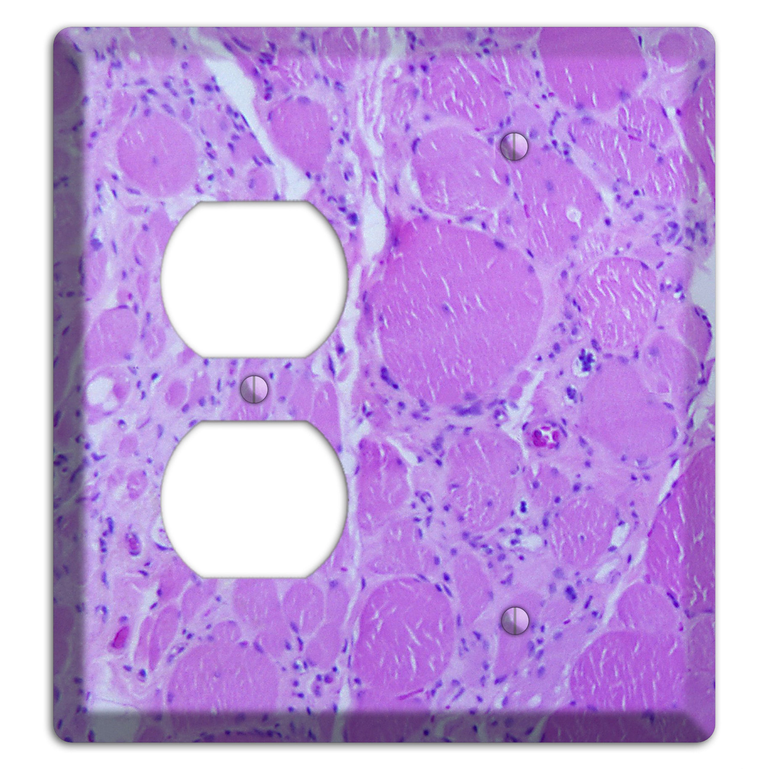 Poliovirus Myotonic Dystrophic Duplex / Blank Wallplate