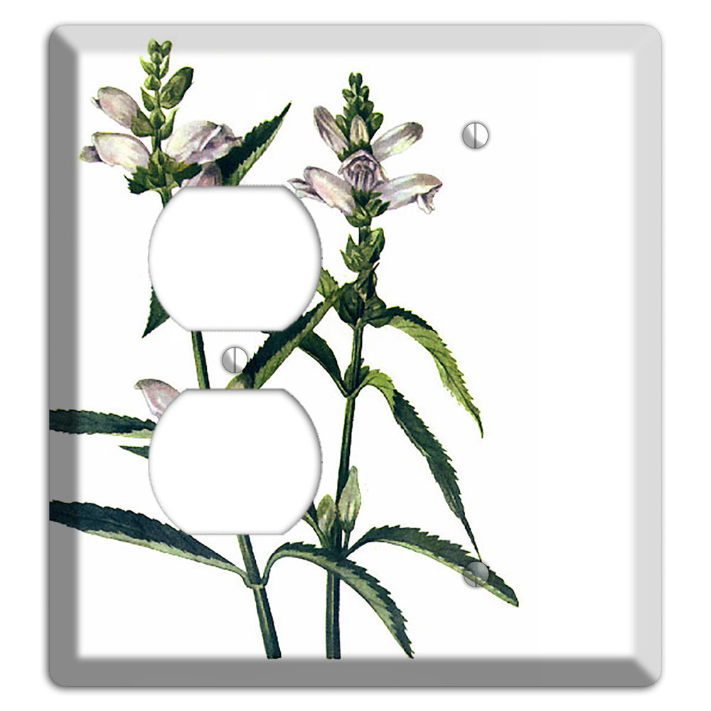 Chelone Glabra Duplex / Blank Wallplate
