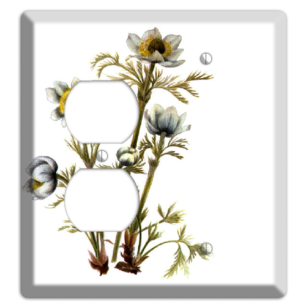Aenmone Occitentalis Duplex / Blank Wallplate
