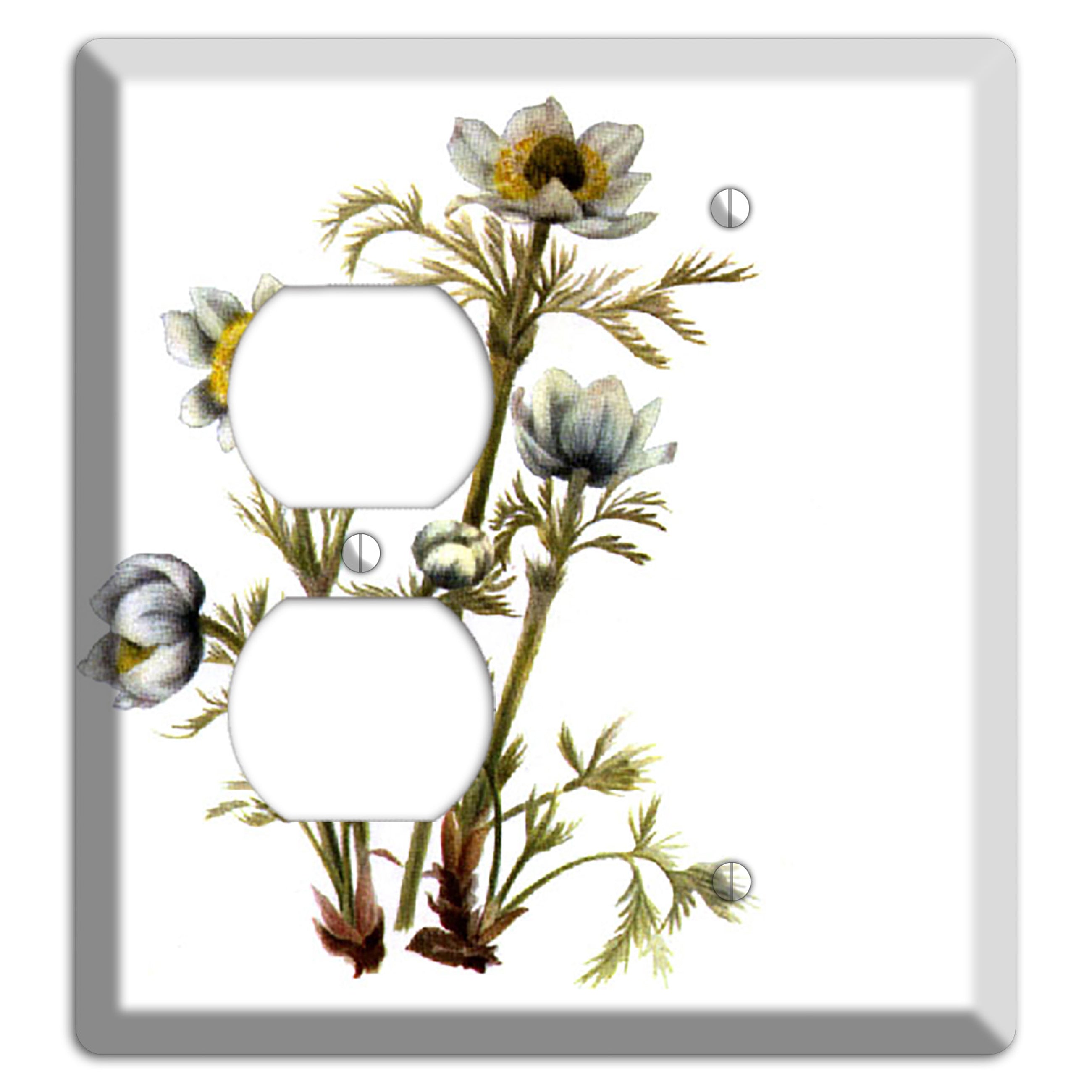 Aenmone Occitentalis Duplex / Blank Wallplate