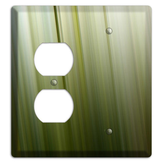 Olive Ray of Light 2 Duplex / Blank Wallplate