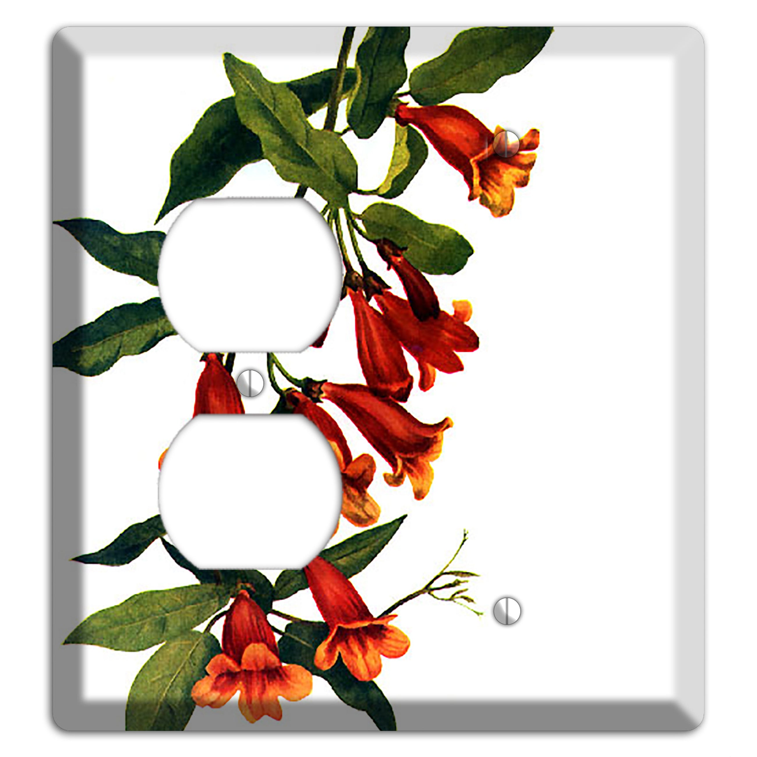Bigonia Capreolata Duplex / Blank Wallplate