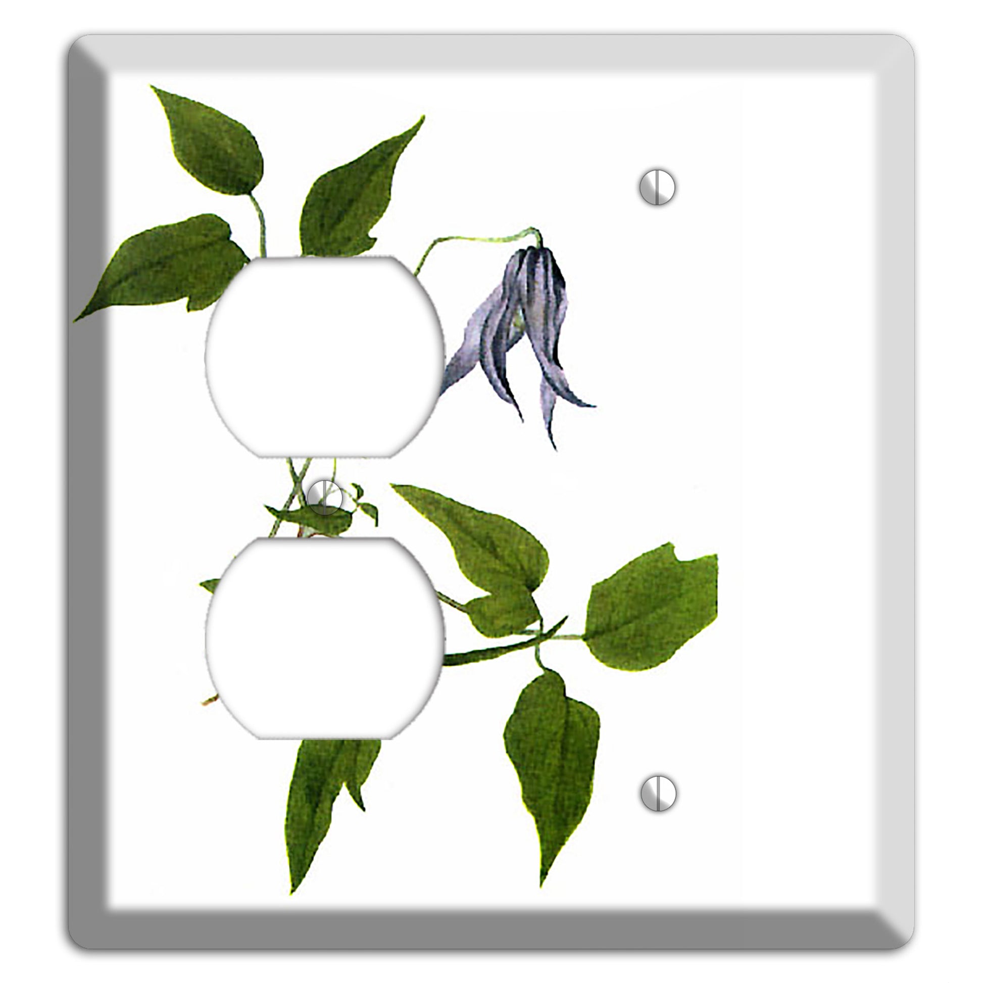 Clematis Columbiana Duplex / Blank Wallplate