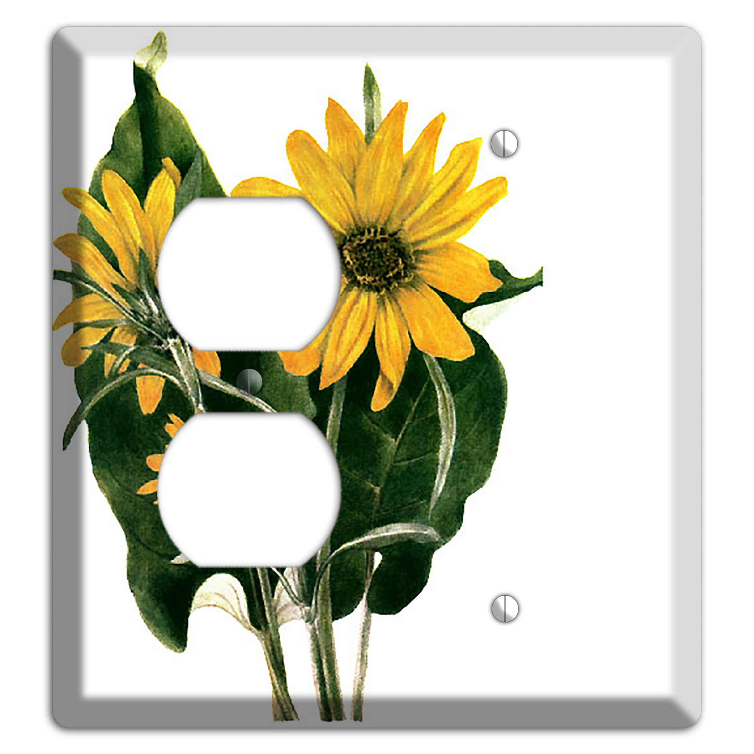 Balsamorhiza Sagittata Duplex / Blank Wallplate