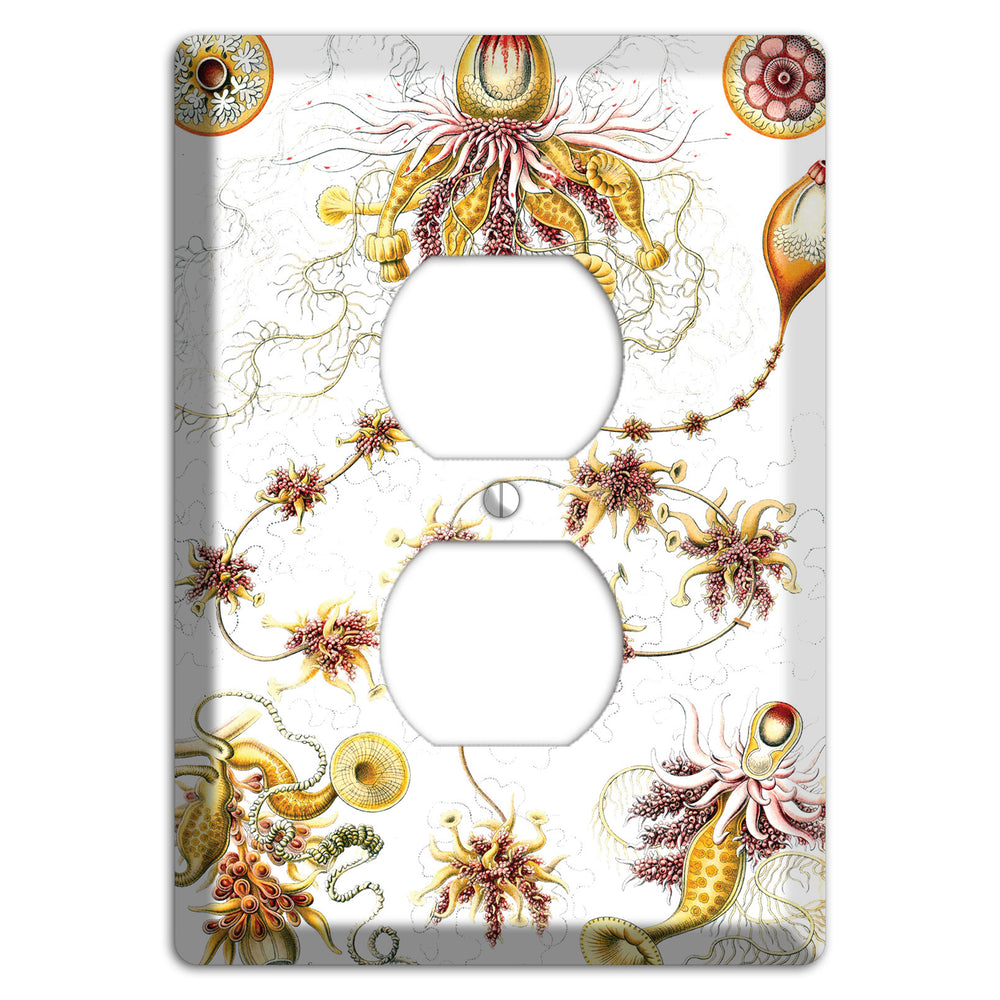 Haeckel - Siphonophorae Duplex Outlet Wallplate