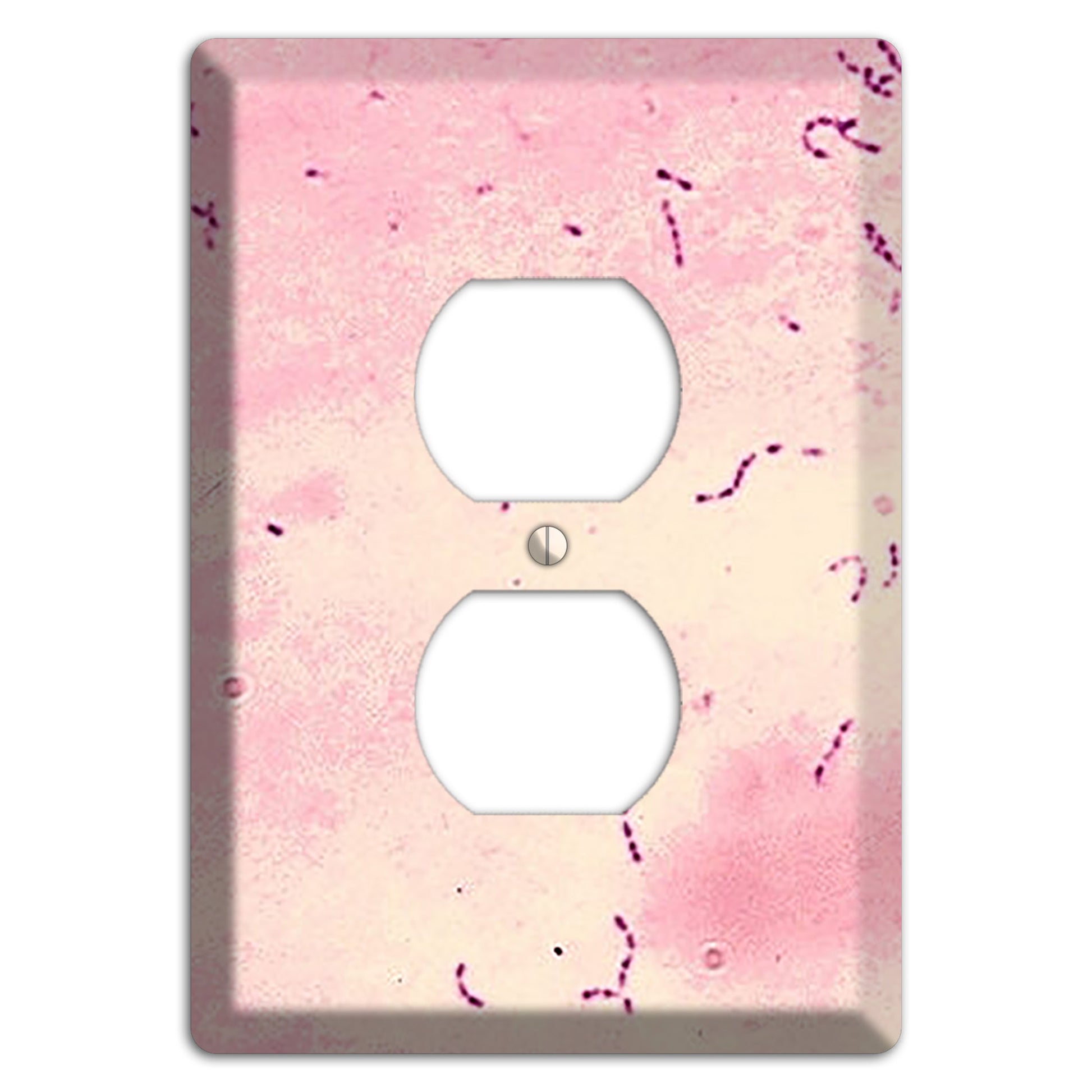 Streptococcus Mutans Duplex Outlet Wallplate