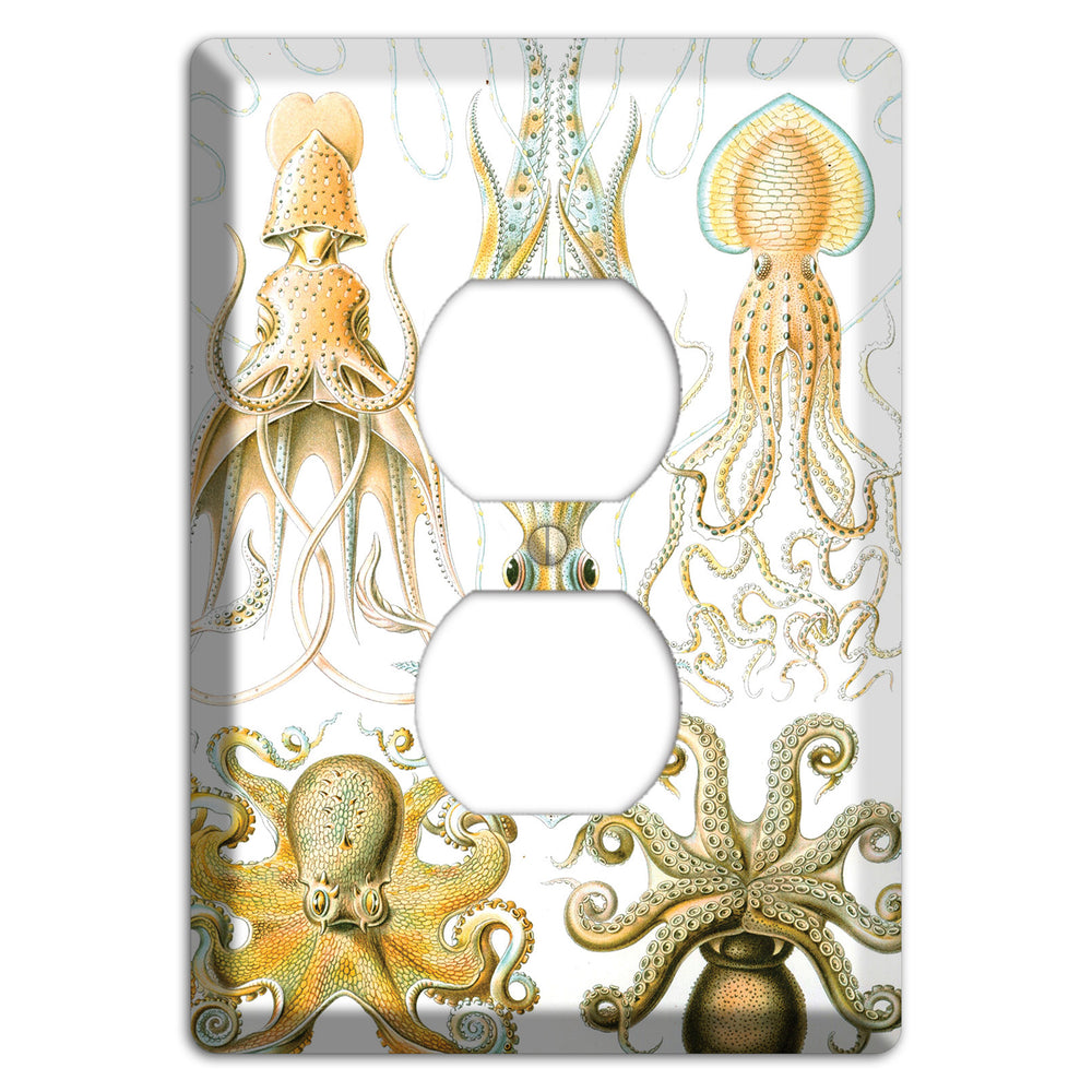 Haeckel - Gamochonia Duplex Outlet Wallplate