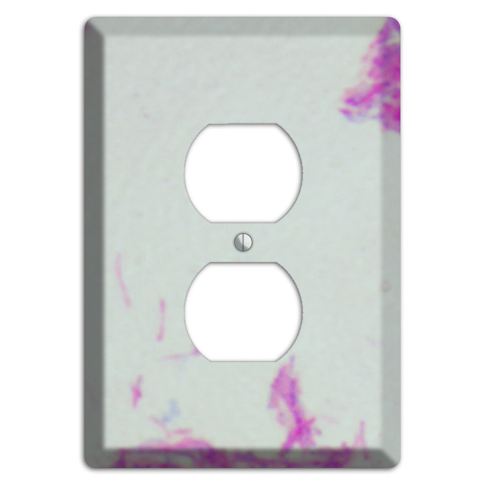 Mycobacterium Bovis Duplex Outlet Wallplate