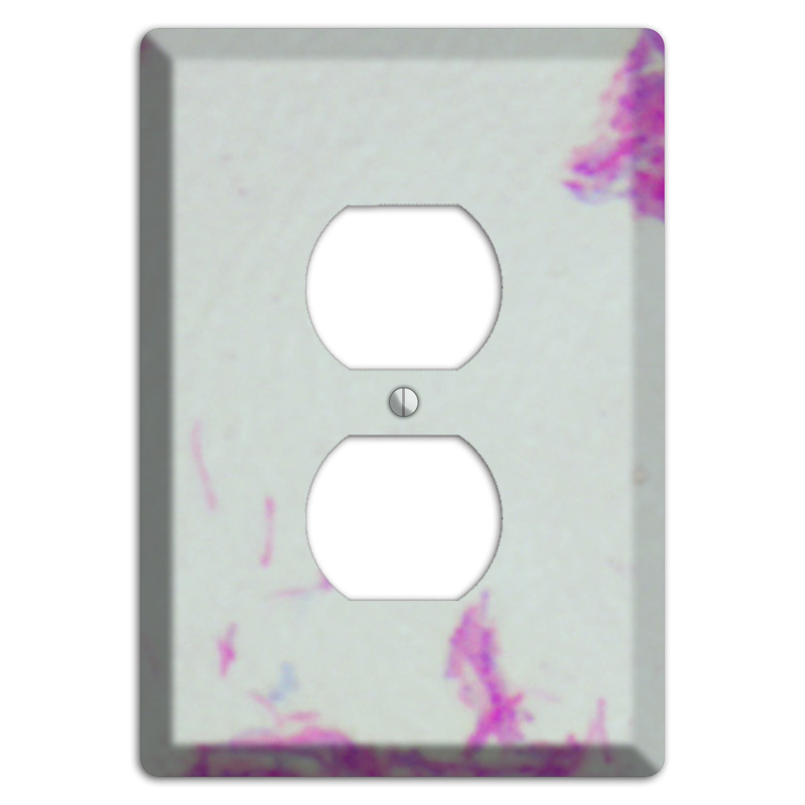 Mycobacterium Bovis Duplex Outlet Wallplate