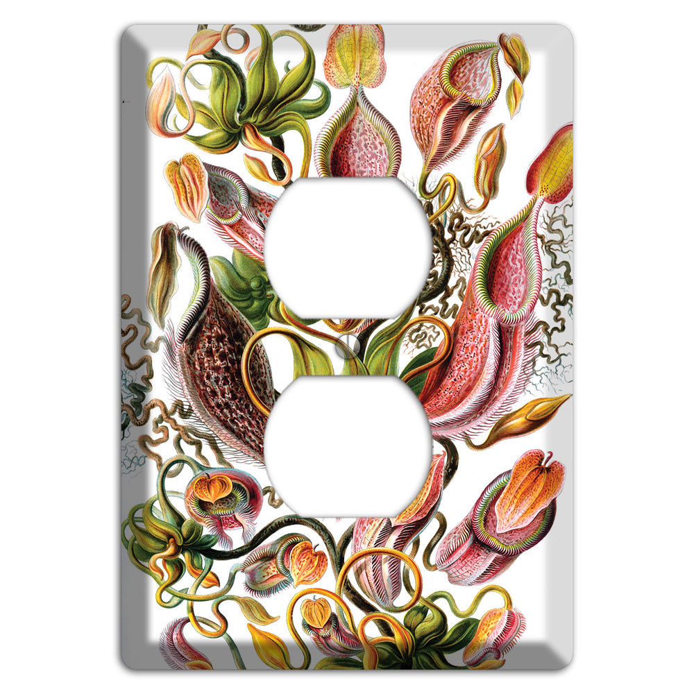 Haeckel - Nepenthaceae Duplex Outlet Wallplate