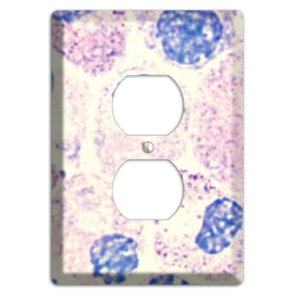 SMC Polyhydroxy Duplex Outlet Wallplate