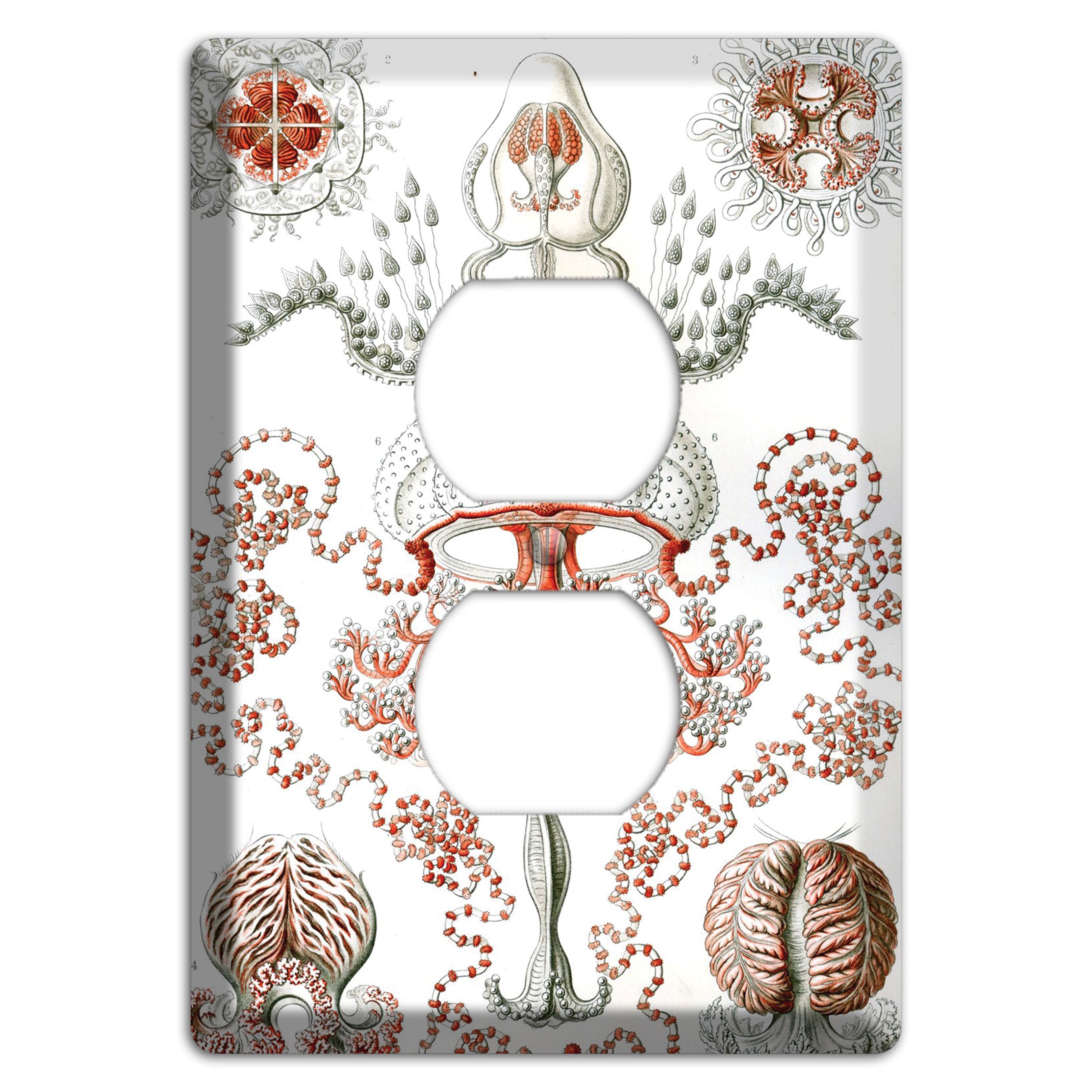 Haeckel - Anthomedusae Duplex Outlet Wallplate