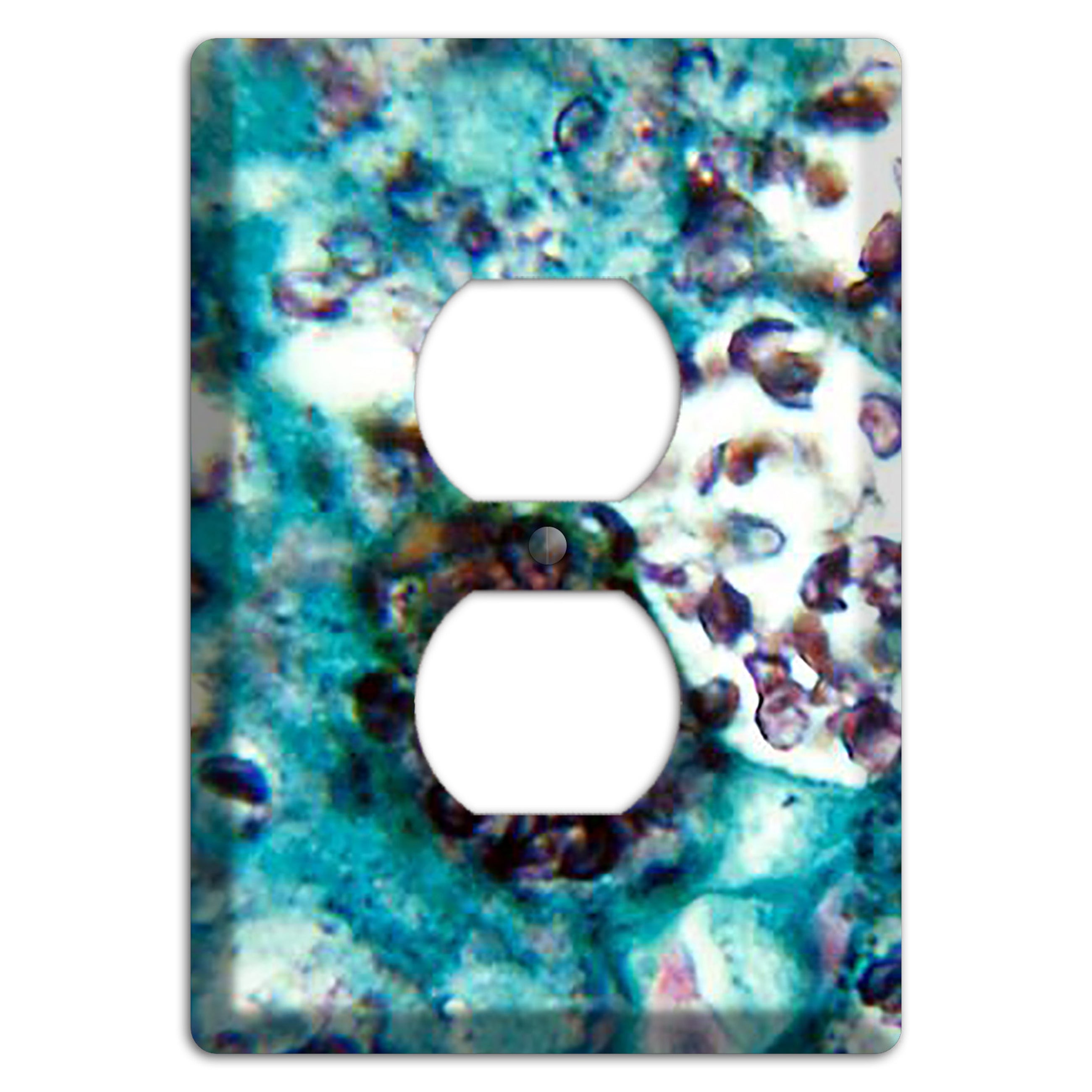 Histoplasmosis Capsulatum Duplex Outlet Wallplate