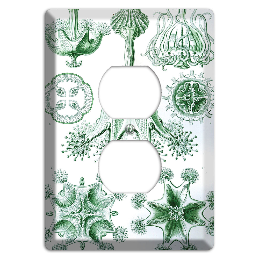 Haeckel - Stauromedusae Duplex Outlet Wallplate