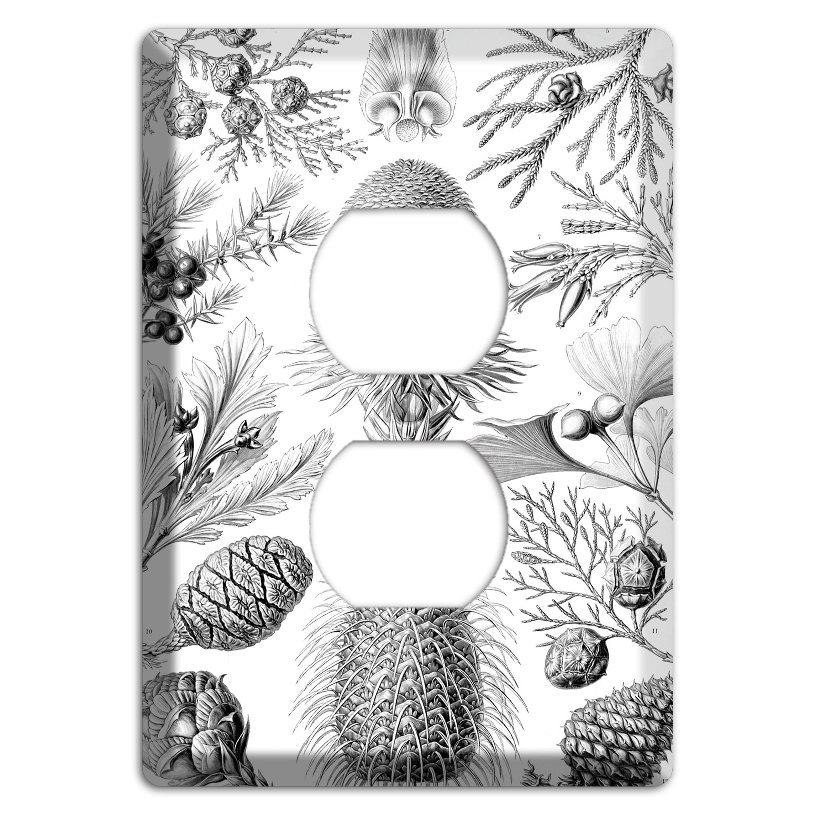 Haeckel - Coniferae Duplex Outlet Wallplate