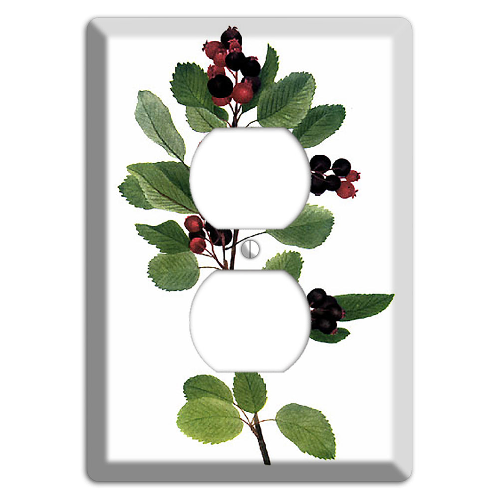 Amelanchier Ainifolia Duplex Outlet Wallplate