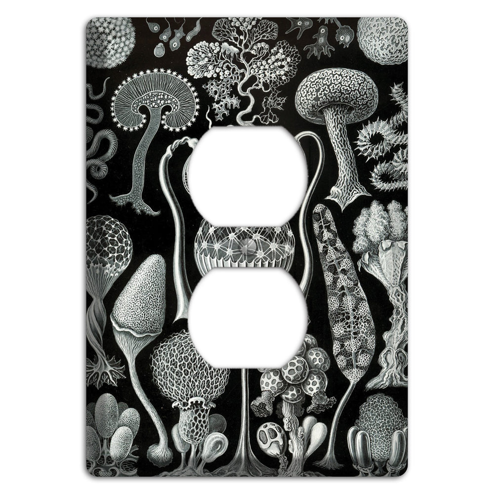 Haeckel - Mycetozoa Duplex Outlet Wallplate