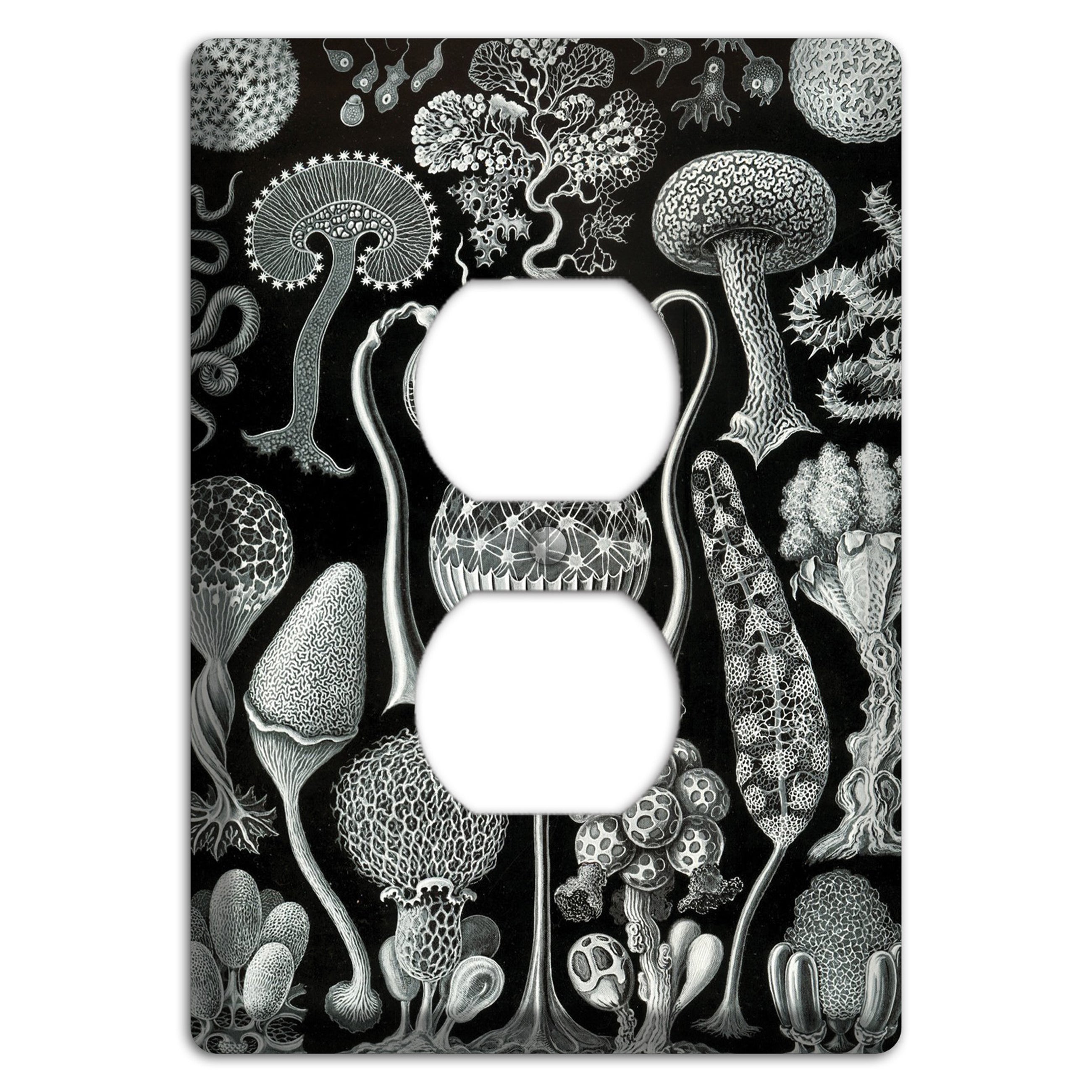 Haeckel - Mycetozoa Duplex Outlet Wallplate