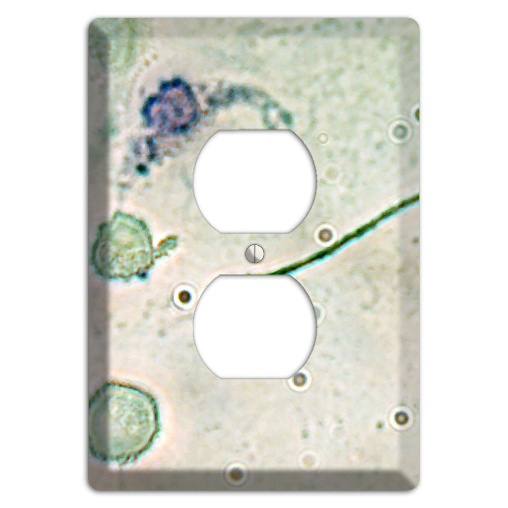 Macrophage Duplex Outlet Wallplate