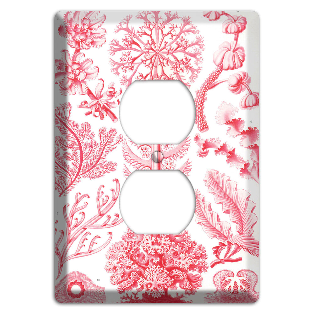 Haeckel - Florideae Duplex Outlet Wallplate