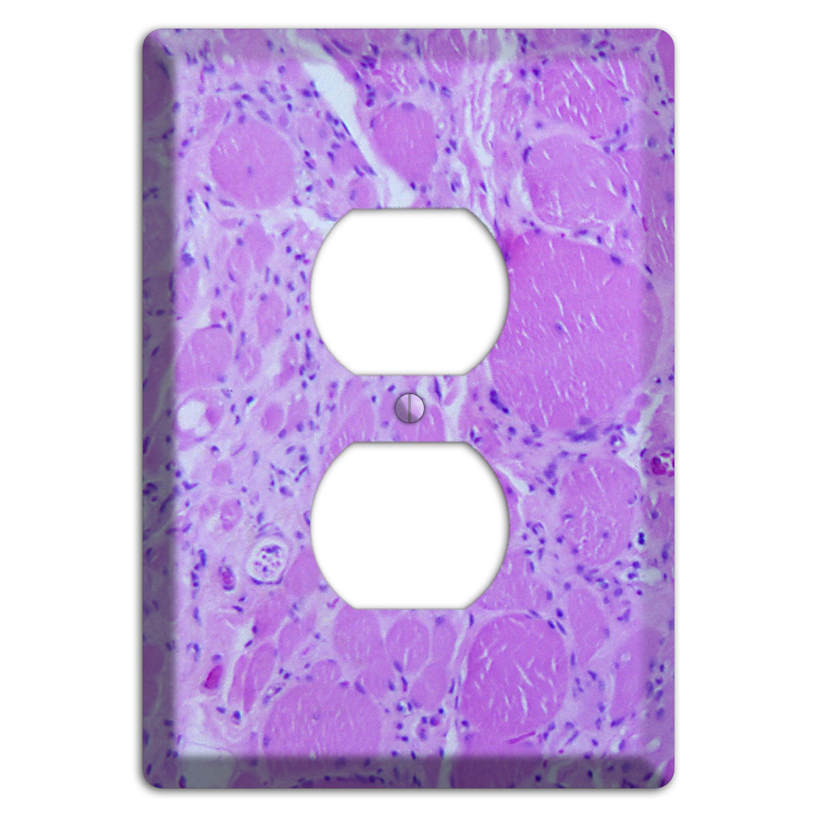 Poliovirus Myotonic Dystrophic Duplex Outlet Wallplate