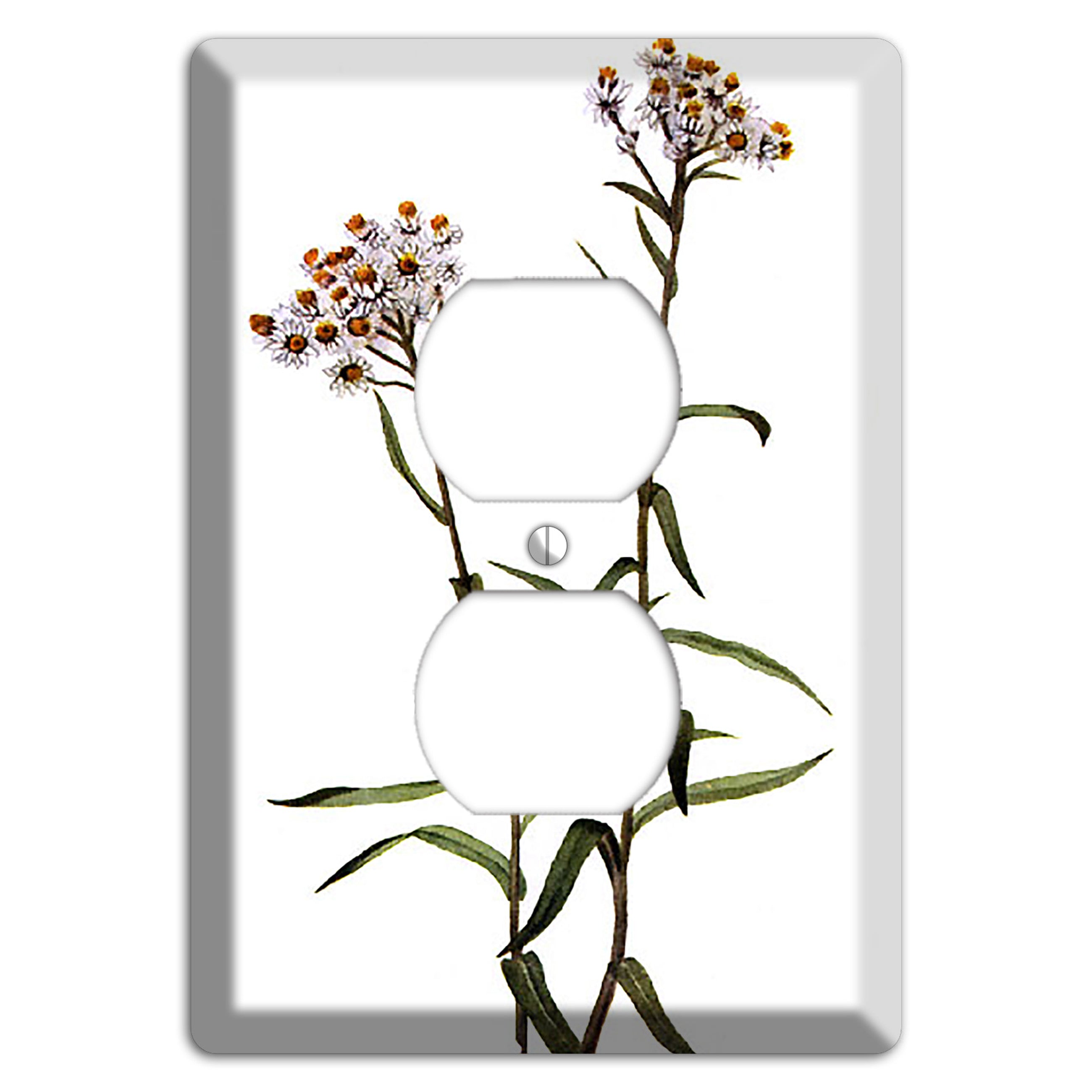 Anaphalis Margoritacea Duplex Outlet Wallplate