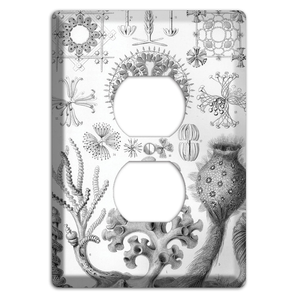 Haeckel - Hexactinellae Duplex Outlet Wallplate