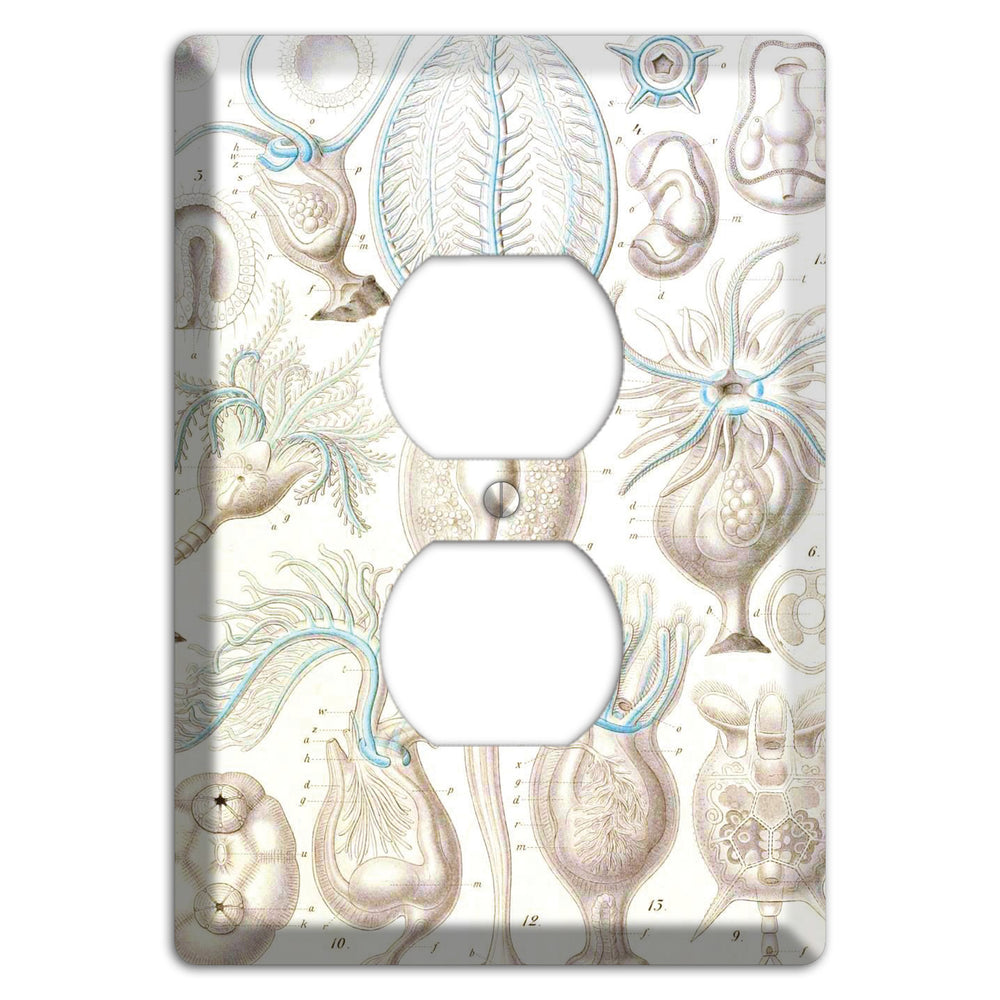 Haeckel - Microscopic Fossil 2 Duplex Outlet Wallplate