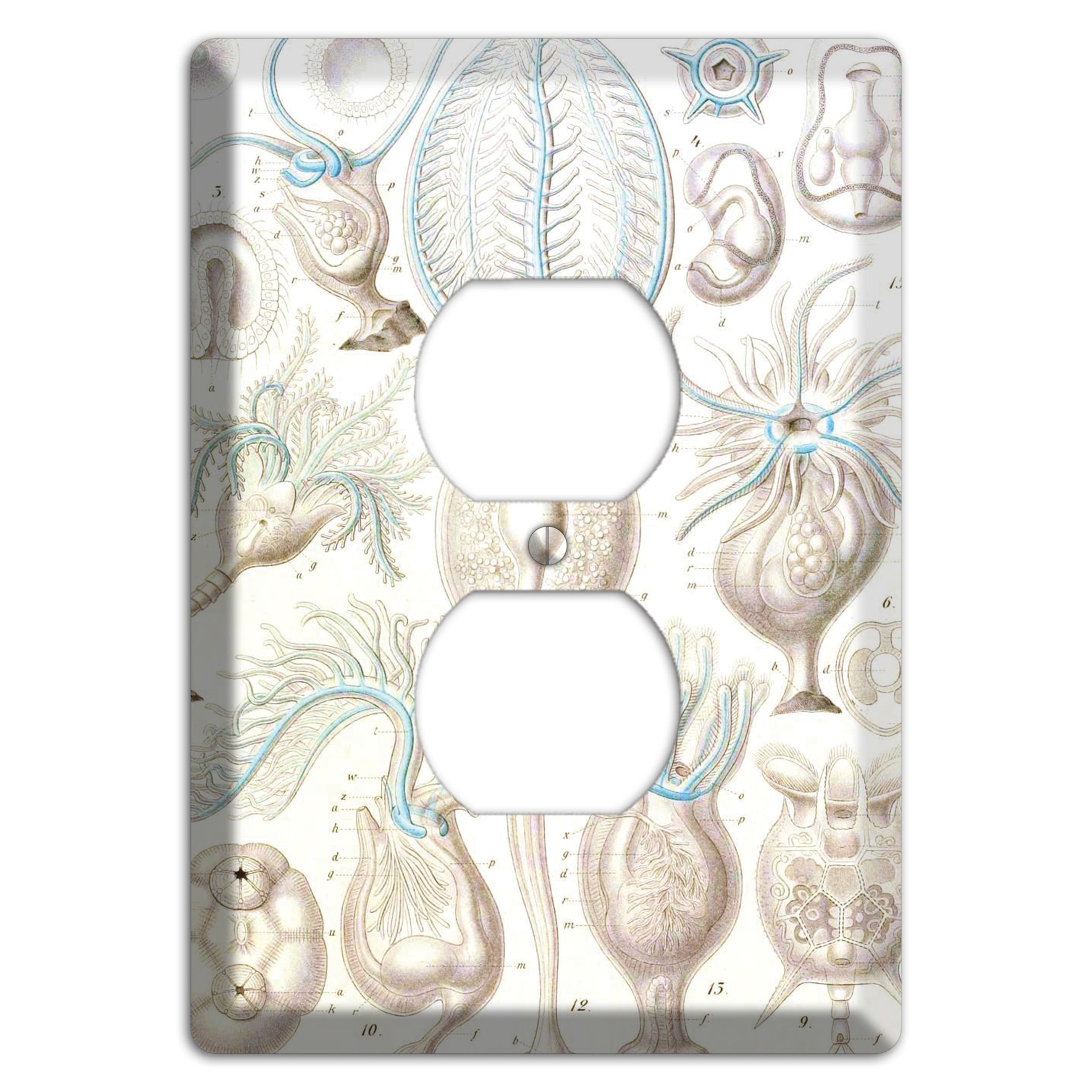 Haeckel - Microscopic Fossil 2 Duplex Outlet Wallplate