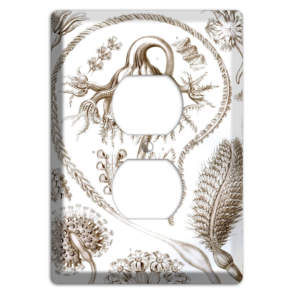 Haeckel - Pennatulida Duplex Outlet Wallplate