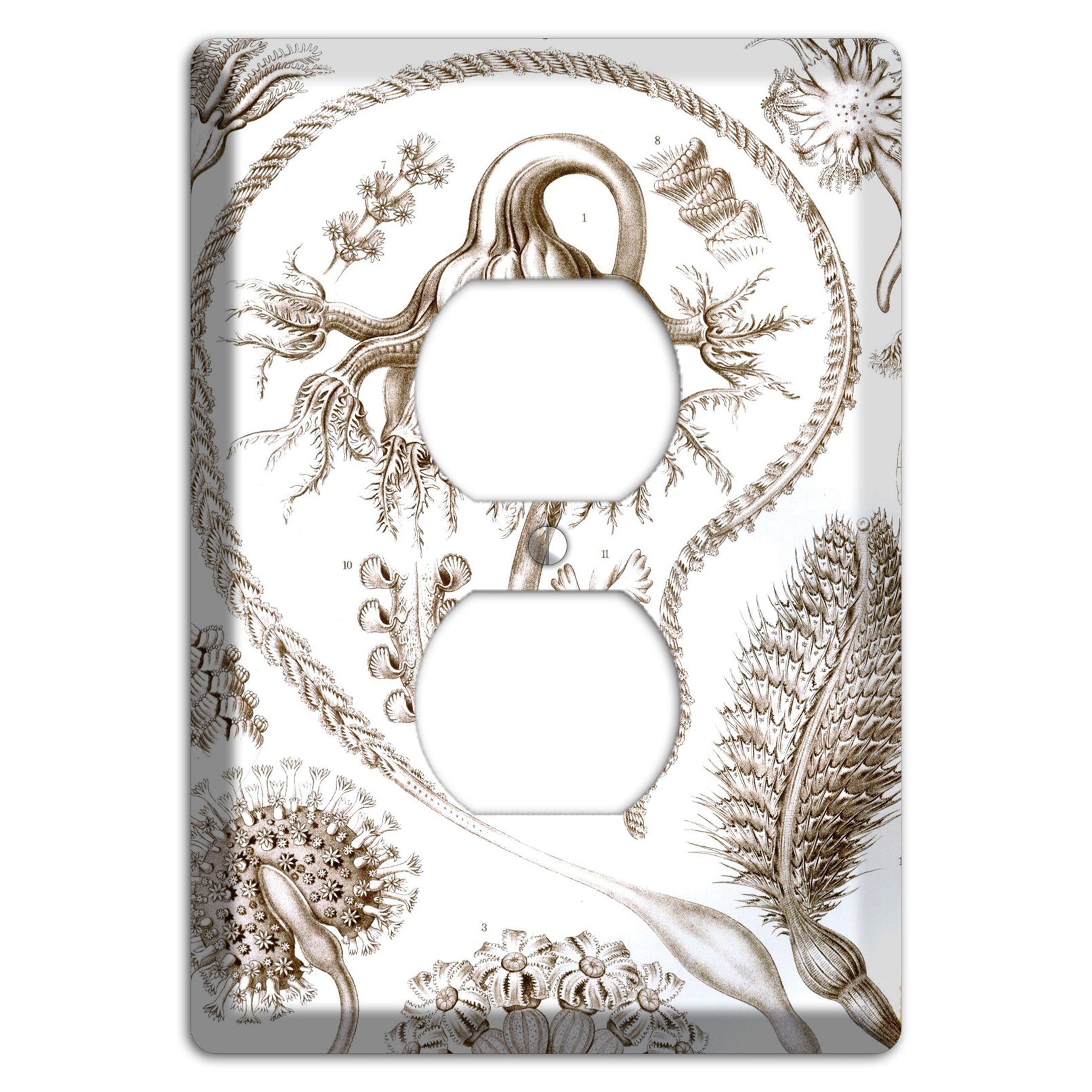 Haeckel - Pennatulida Duplex Outlet Wallplate