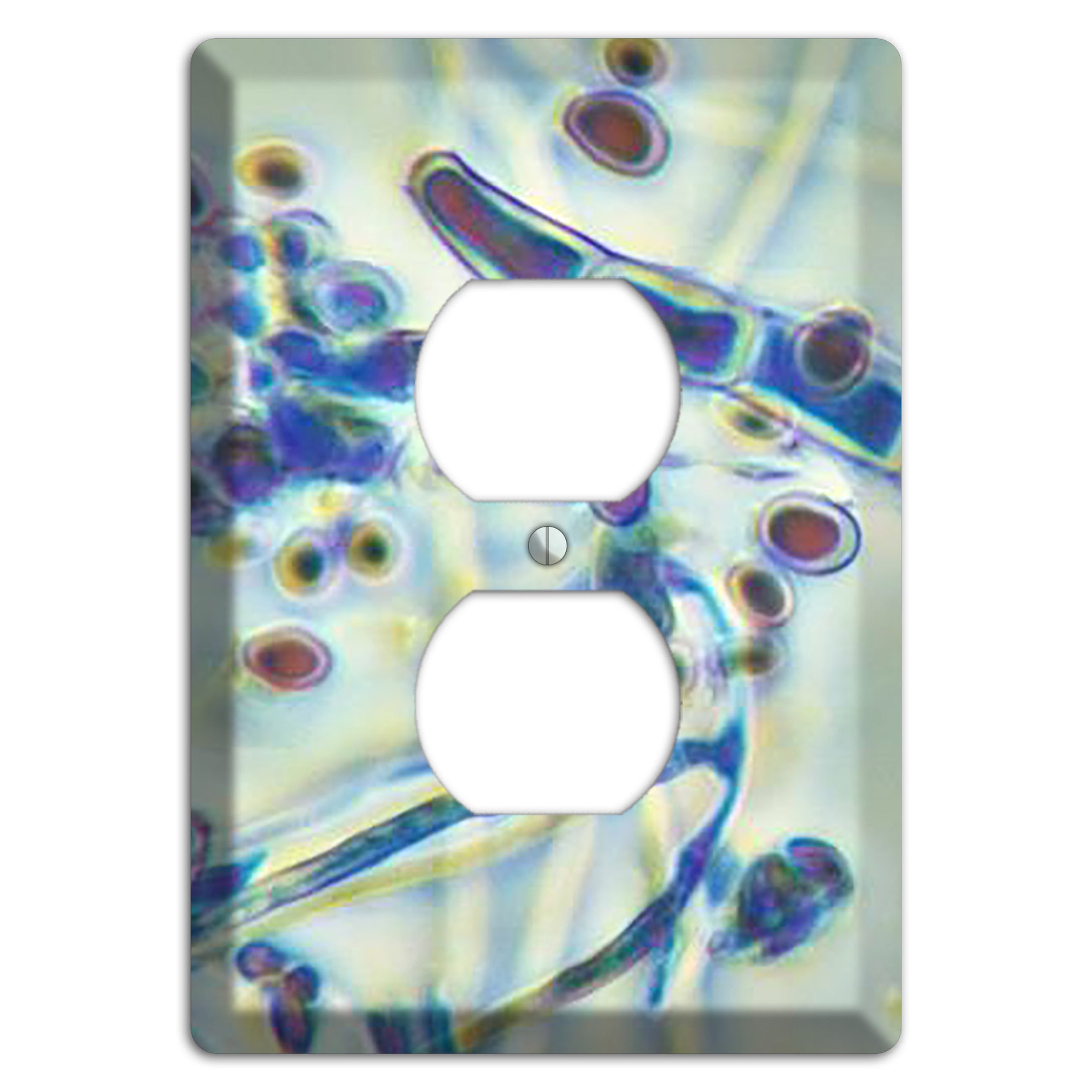 Trichophyton Rubrum Var Rodhaini Duplex Outlet Wallplate
